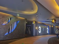 -万达影城(开福万达广场IMAX店)