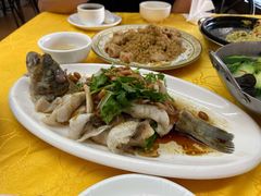 碧绿骨香鲈鱼-肥姐美食(同福中路店)