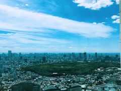 -东京都厅舍