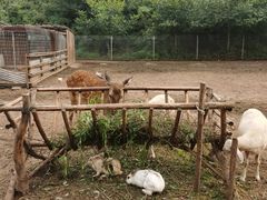 -北京山里寒舍度假酒店