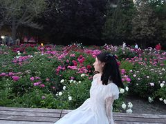 -迎泽公园