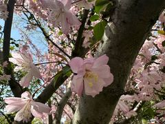 -圆融购物中心(南天成路店)