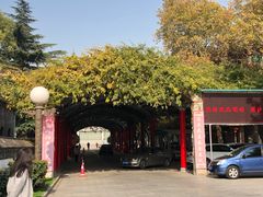 -止园酒店-中餐厅