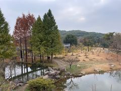 -无锡梅园公园