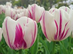 -玄武湖景区-情侣园游乐场