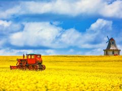 -青海湖国家重点风景名胜区
