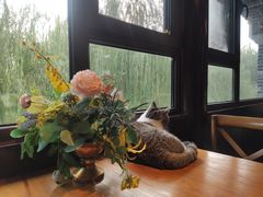 -IFIF 如果花園(宽厚里店)