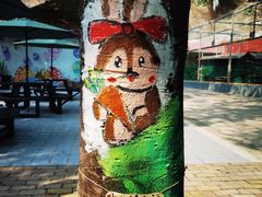-深圳野生动物园
