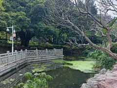 -晓港公园