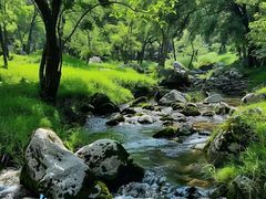 -玉渡山自然风景区