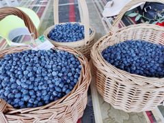 -金谷域澳洲庄园