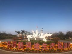景点-盐城丹顶鹤湿地生态旅游区