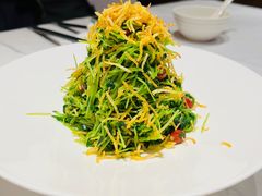 巧拌豆苗-四季民福烤鸭店(王府井东安门店)