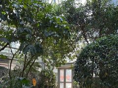 -南山植物园