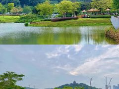 -王借岗森林公园