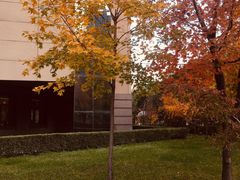 -哈工大一校区食堂