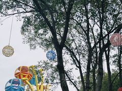 -温州乐园