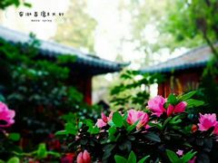 -大妙火锅·非物质文化遗产(东湖公园店)