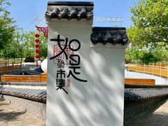 -泗洪洪泽湖湿地景区