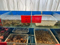 -华盛丰温州大排档(东三环南路店)