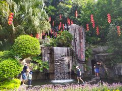 -广州市流溪河国家森林公园