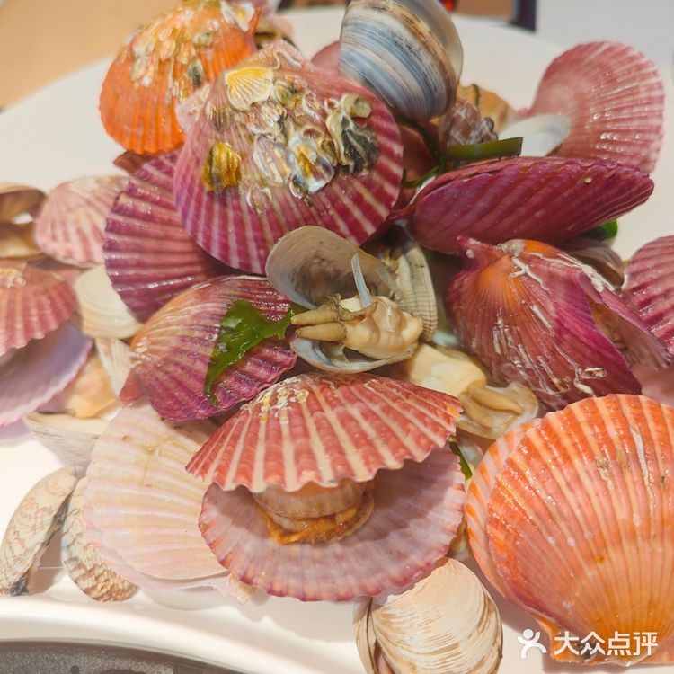 十一去哪儿吃 吃海鲜我们是认真的 吃原汁原味海鲜