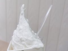-野人先生现做冰淇淋(北京顺义祥云小镇店)