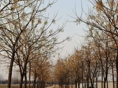 -汉长安城未央宫国家考古遗址公园