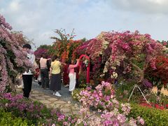 -东莞植物园