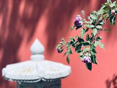 -北京石刻艺术博物馆(五塔寺)