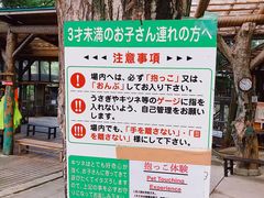 -宫城藏王狐狸村