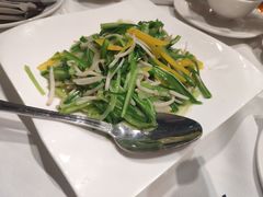 青龙菜-詠春园