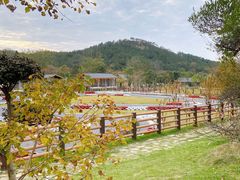 -黄陂区野村谷景区