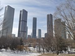 -大望京公园