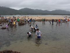 -西涌国际滨海旅游区