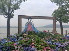 -无锡蠡湖国家湿地公园-蠡园