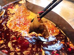毛肚-大虎重庆老火锅(正弘城店)