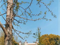 -杭州半山国家森林公园