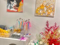 -有喵·猫咖·狗咖·30几只猫10只小狗(岗厦店)