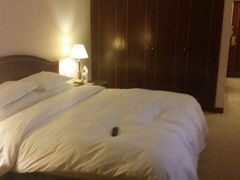 android_upload_pic-沈阳丽都酒店