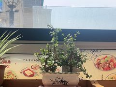 -大清花饺子(山庄店)