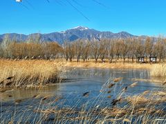 -野鸭湖国家湿地公园