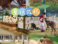 -盈香心动乐园