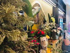 -PlantsEatery·植物食堂(REX春熙店)