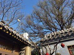 -四喜小胖·北京涮肉(五道营店)