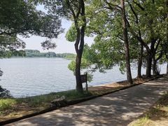 -东湖落雁景区