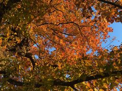 -塔川景区