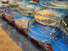 -沿海渔家院蒸汽海鲜·东北菜(东戴河店)