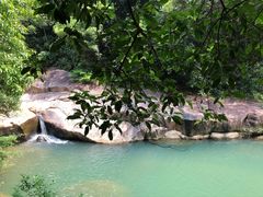 -广州白江湖森林公园