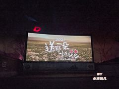 -枫花园汽车电影院(朝阳公园店)